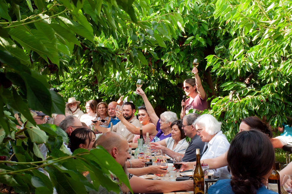 People raising wine glasses at long table in cherry orchard